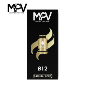 Résistances B Series (pack de 5) - MPV compatible Geekvape Résistances B Series (pack de 5) - MPV compatible Geekvape