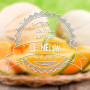 Melon arôme naturel VDLV