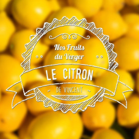 Citron - VDLV, acheter e liquide arôme naturel français