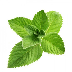 Additif DIY Menthol Crystal 10 ml Additif DIY Menthol Crystal 10 ml