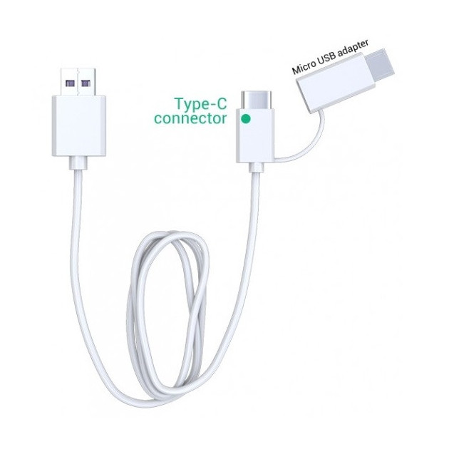 Câble de rechargement USB-C et Micro USB