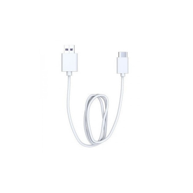 Câble de rechargement USB-C (0,5 m.)