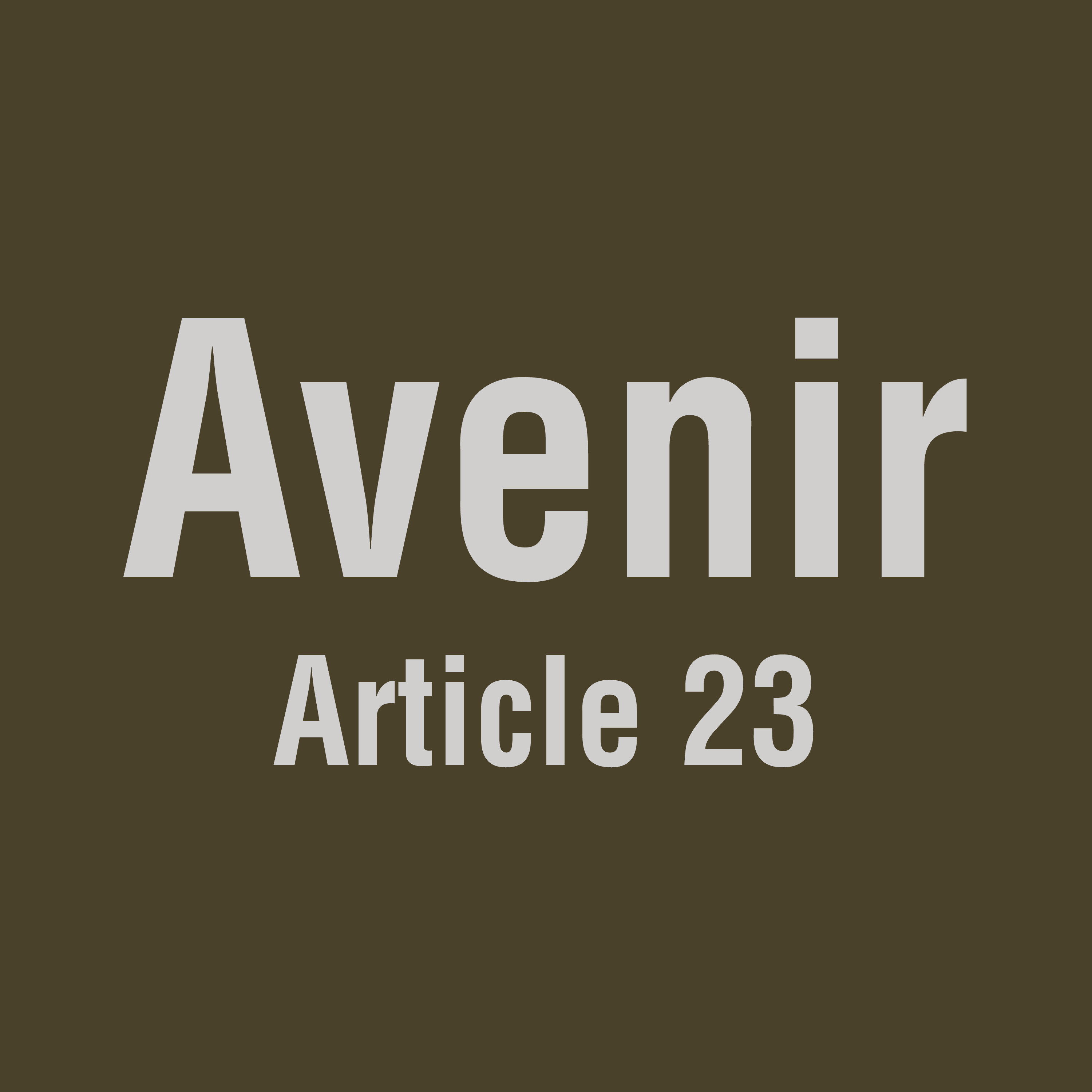 Article 23